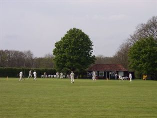 elmdon cricket