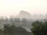 felsted 02