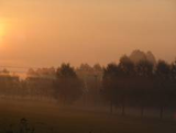 felsted 04