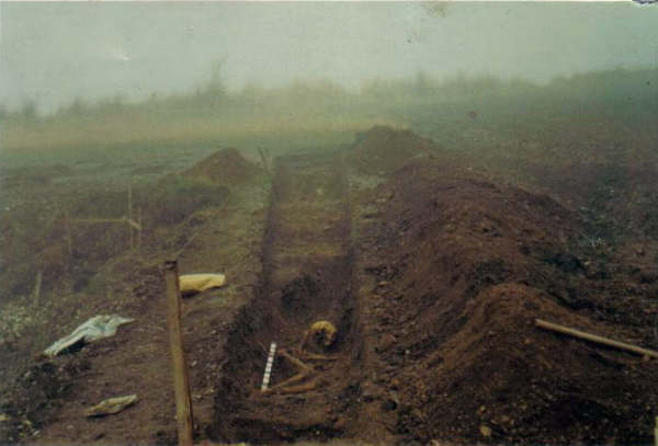 bowling green emergency excavation